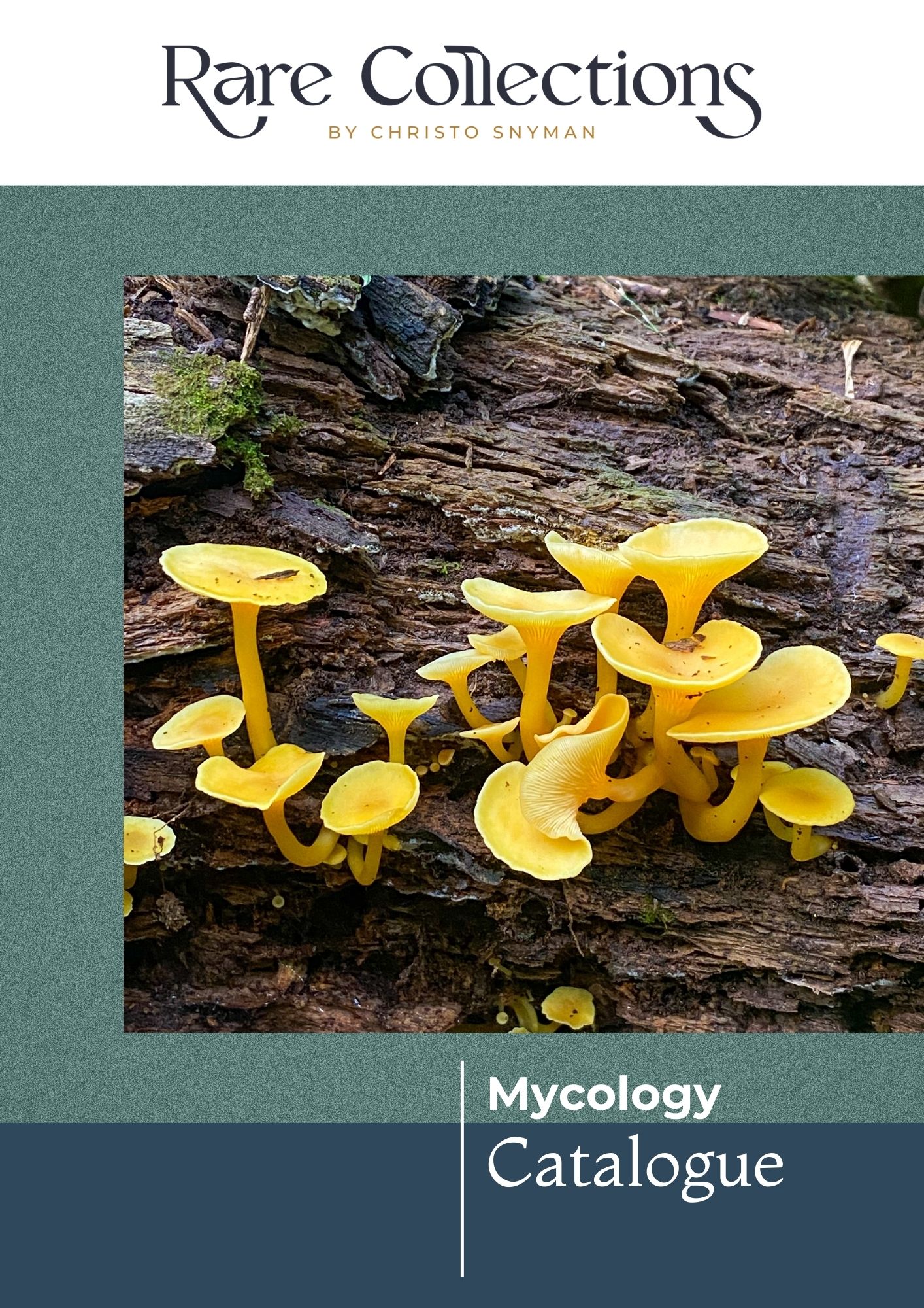 Mycology Catalogue 