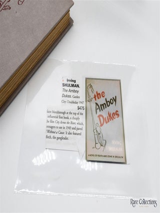 The Amboy Dukes