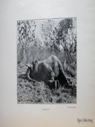 Hunting Trips in Northern Rhodesia With Accounts of Sport and Travel in Nyasaland and Portuguese East Africa and also Notes on the Game Animals and their Distribution