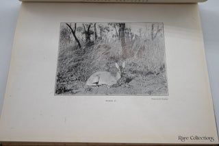 Hunting Trips in Northern Rhodesia With Accounts of Sport and Travel in Nyasaland and Portuguese East Africa and also Notes on the Game Animals and their Distribution