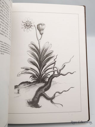 Jan Commelin's Monograph on Cape Flora Drawings and desriptions of the plants that the Hon. Simon van der Stel, Governor at the Cape of Good Hope, found on his great journey, 1685