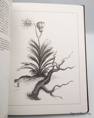 Jan Commelin's Monograph on Cape Flora Drawings and desriptions of the plants that the Hon. Simon van der Stel, Governor at the Cape of Good Hope, found on his great journey, 1685