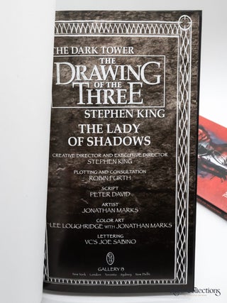 The Lady of Shadows (#3 the Drawing of the Three - Dark Tower)