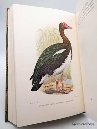 The Gamebirds and Waterfowl of South Africa (Deluxe Edition)
