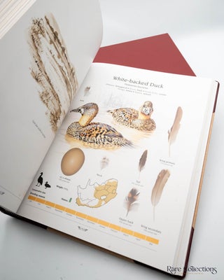 Agred's Gamebirds of South Africa - Field Identification and Management (Collector's Edition)