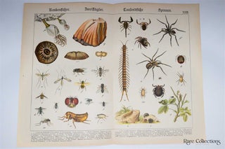 Item #3128 Naturgeschichte Des Tierreichs, or Natural History of the Animal Realm (Arthropods...