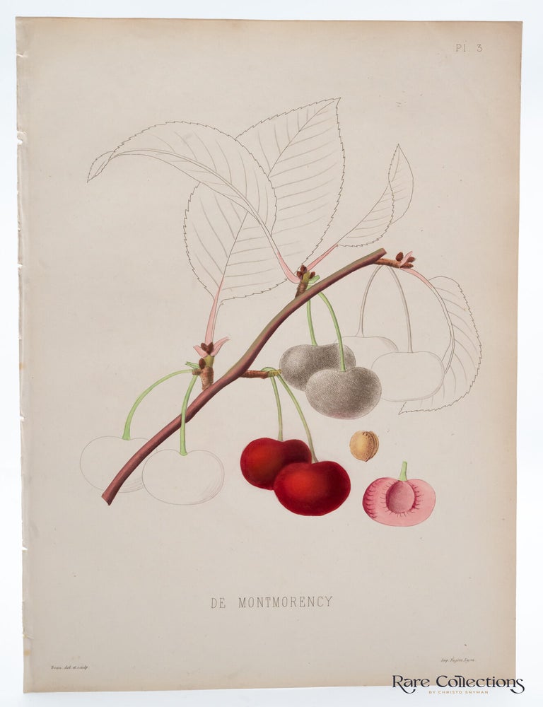 Item #32255 Plate 3 - De Montmorency. Pierre-Victor Galland, Engraver.