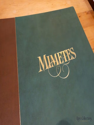 Mimetes: an Illustrated Account of Mimetes Salisbury and Orothamnus Pappe, Two Notable Cape Genera of the Proteaceae