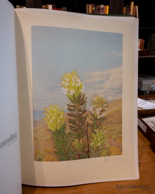 Mimetes: an Illustrated Account of Mimetes Salisbury and Orothamnus Pappe, Two Notable Cape Genera of the Proteaceae