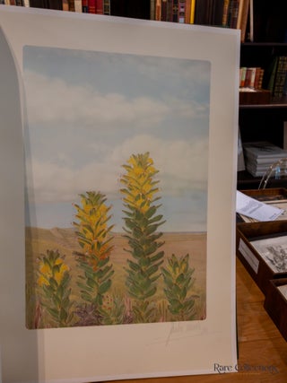 Mimetes: an Illustrated Account of Mimetes Salisbury and Orothamnus Pappe, Two Notable Cape Genera of the Proteaceae