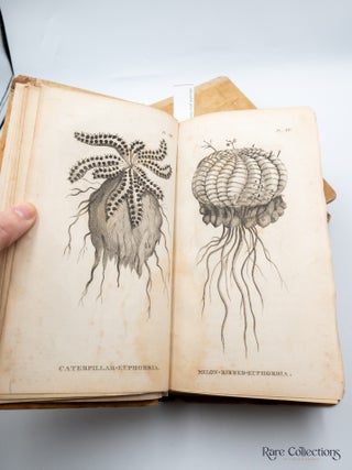 New Travels into the Interior Parts of Africa By Way of the Cape of Good Hope; in the Years 1783, 84 and 85