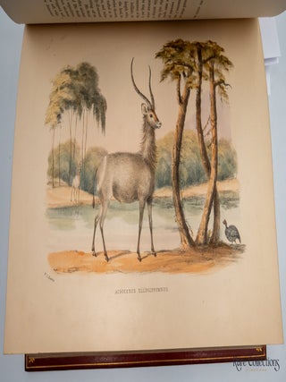 The Wild Sports of Southern Africa - 4th Edition being the Narrative of a Hunting Expedition from the Cape of Good Hope, through the territories of the Chief Moselekatse, to the Tropic of Capricorn