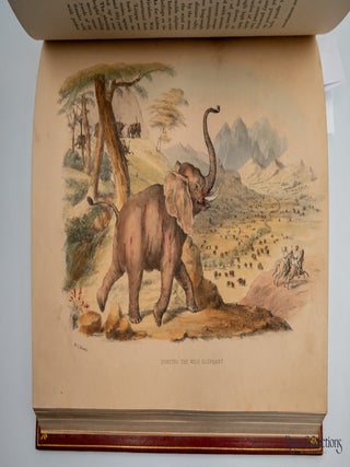 The Wild Sports of Southern Africa - 4th Edition being the Narrative of a Hunting Expedition from the Cape of Good Hope, through the territories of the Chief Moselekatse, to the Tropic of Capricorn
