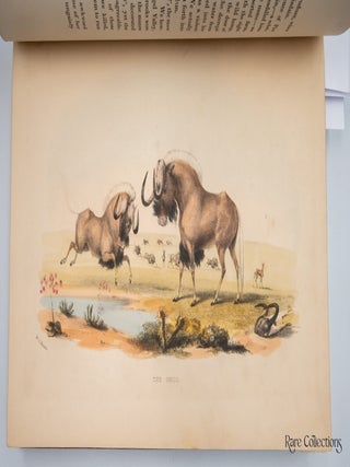 The Wild Sports of Southern Africa - 4th Edition being the Narrative of a Hunting Expedition from the Cape of Good Hope, through the territories of the Chief Moselekatse, to the Tropic of Capricorn
