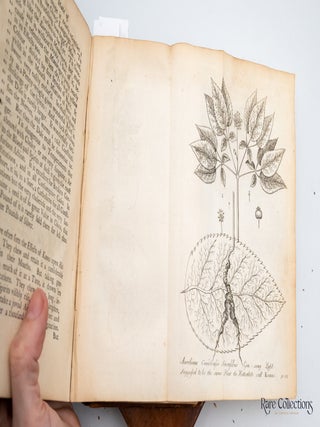 The Present State of the Cape of Good Hope or, a particular Account of the Several Nations of the Hottentots together with a short Account of the Dutch Settlement at the Cape