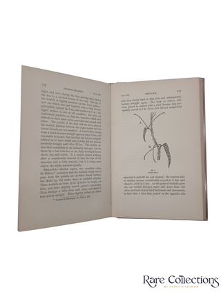 Movement and Habits of Climbing Plants