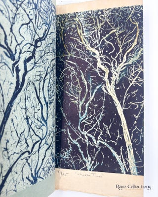 Winter Trees