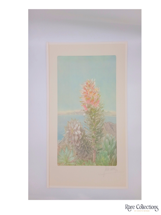 76/77 Mimetes arboreus