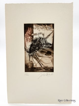Exlibris - Dr. O.P