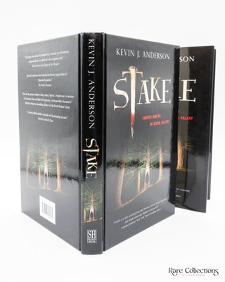 Stake: Vampire Hunter... or Serial Killer